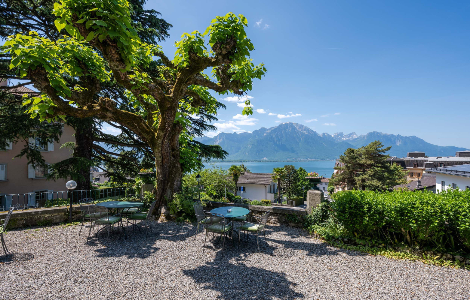 Hotel garden with a view