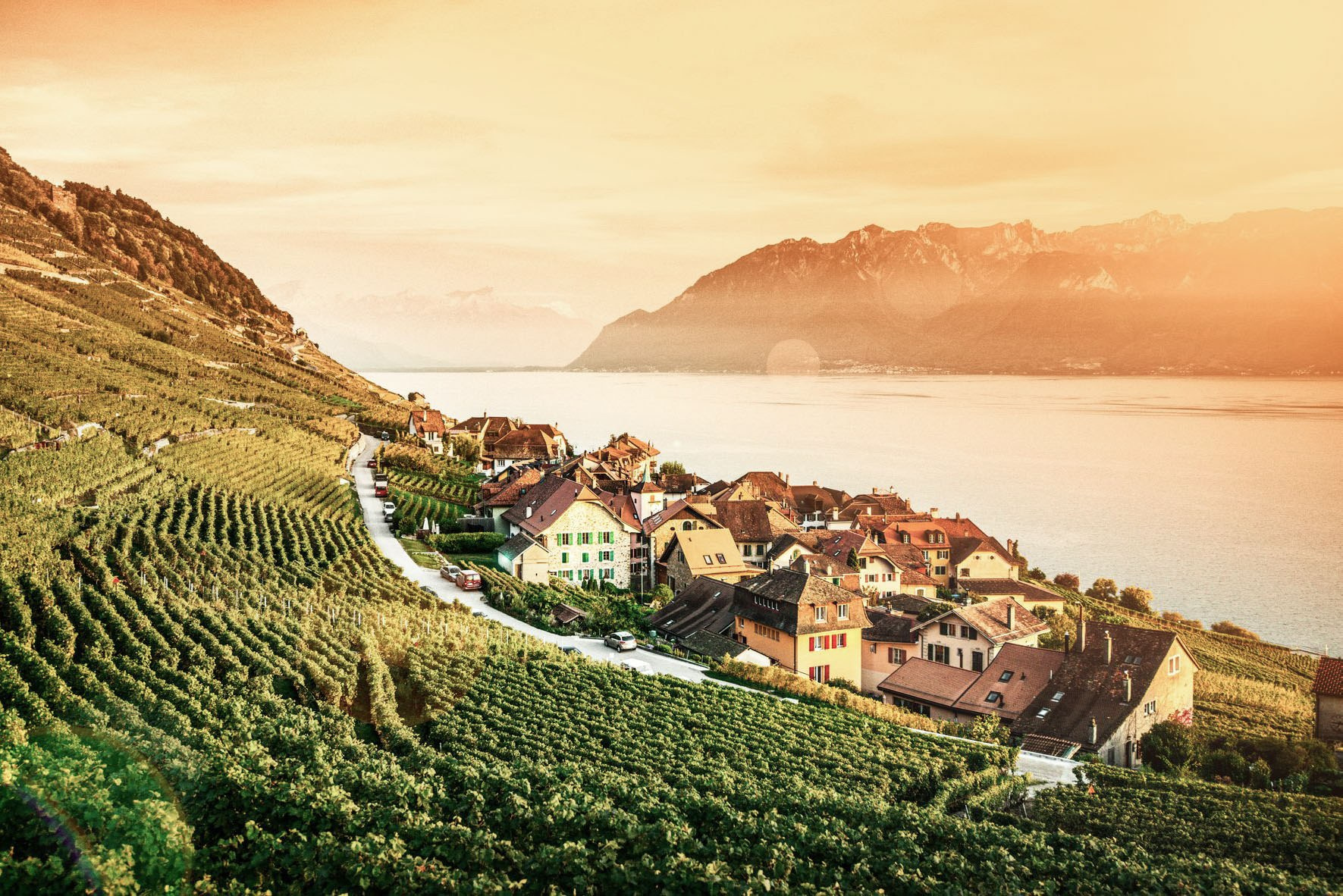 Les vignobles en terrasses de Lavaux, classés au patrimoine mondial de l'UNESCO