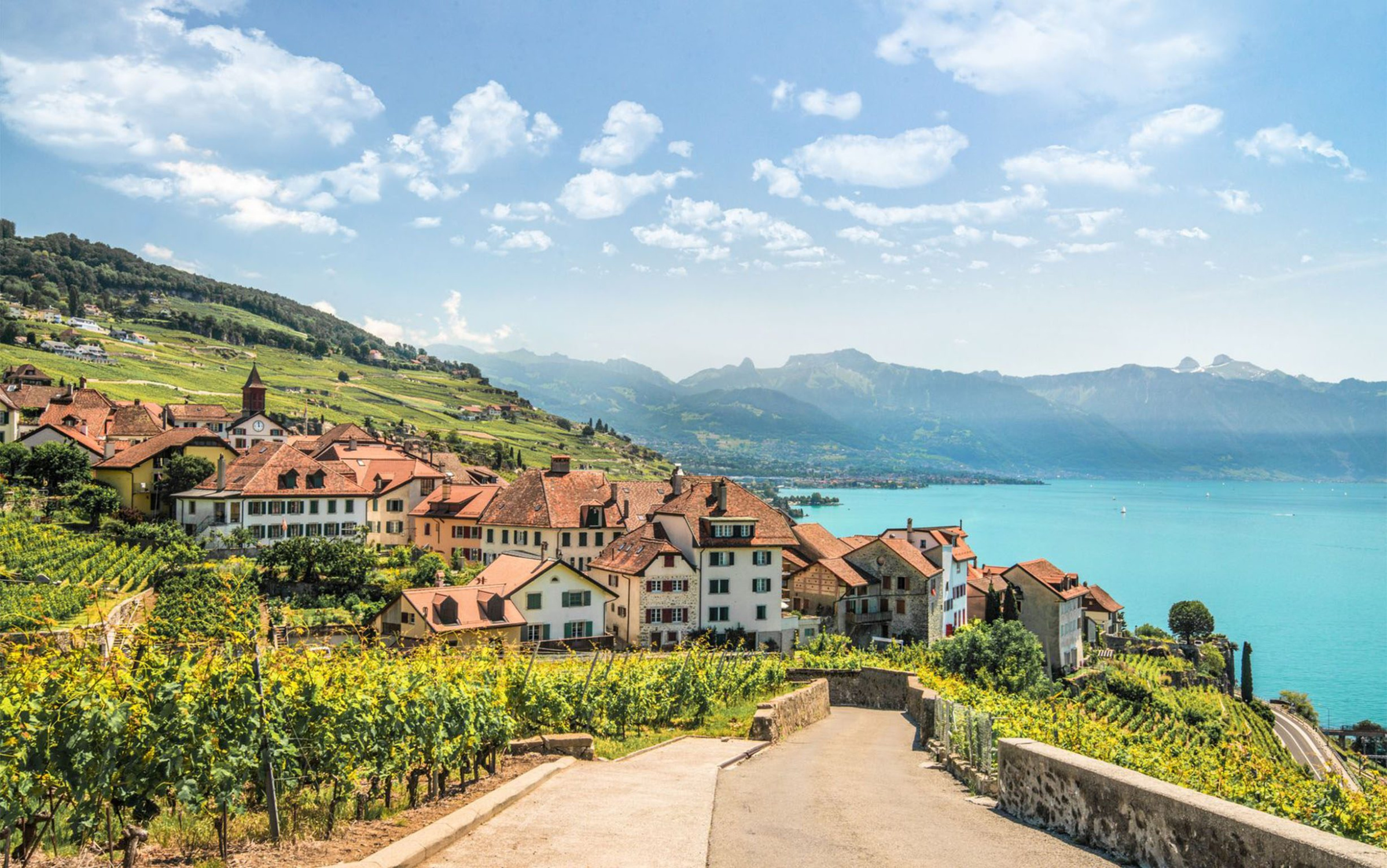 Les vignobles en terrasses de Lavaux, classés au patrimoine mondial de l'UNESCO